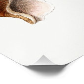 Franse Seashell Beach Shell Zand Ocean Perfect Poster (Hoek)