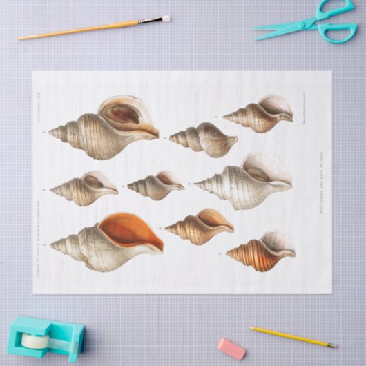 Franse Seashell Strand Decoupage Shell Sand Tissuepapier (Craft)