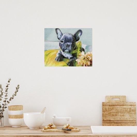 franse snuitpuppy poster (Keuken)