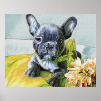 franse snuitpuppy poster