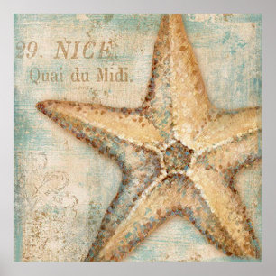  Franse Starfish Art Poster