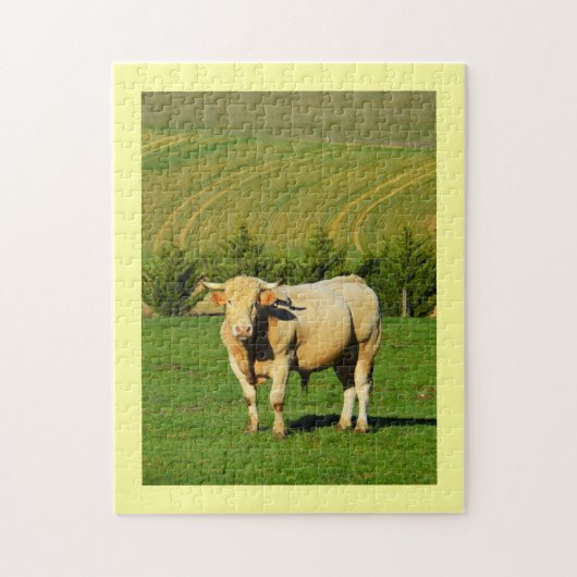 Franse stier legpuzzel (Verticaal)