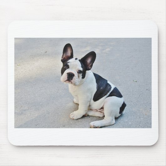 franse stierenhond muismat (Voorkant)