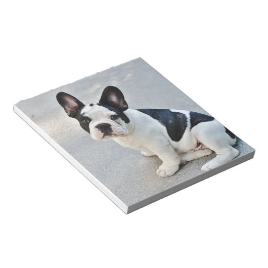 franse stierenhond notitieblok (Schuin)