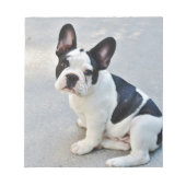 franse stierenhond notitieblok (Voorkant)