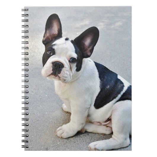 franse stierenhond notitieboek (Voorkant)
