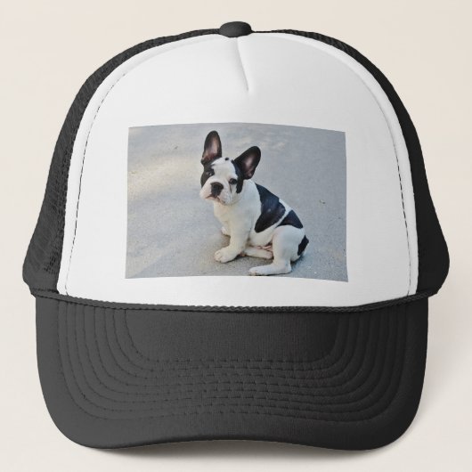 franse stierenhond trucker pet (Voorkant)