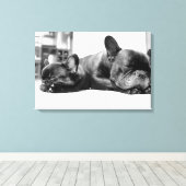 Franse stierenhonden puppies die naast elkaar slap canvas afdruk (Insitu (Houten vloer))