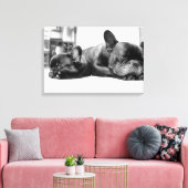 Franse stierenhonden puppies die naast elkaar slap canvas afdruk (Insitu (Woonkamer))