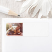 franse stierenlegger etiket (Insitu)