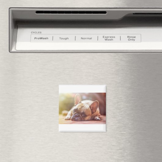 franse stierenlegger magneet (Insitu (Vaatwasser))