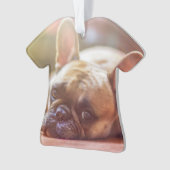 franse stierenlegger ornament (voorkant)