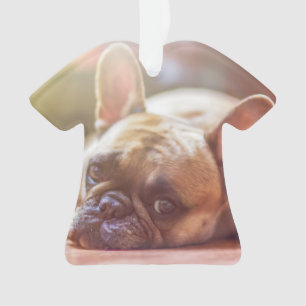 franse stierenlegger ornament