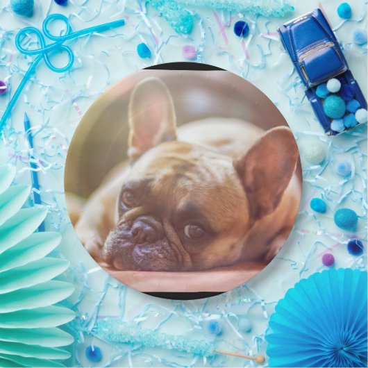 franse stierenlegger papieren bordje (Feest)