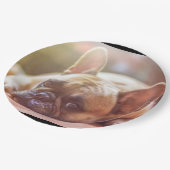 franse stierenlegger papieren bordje (Gekanteld)