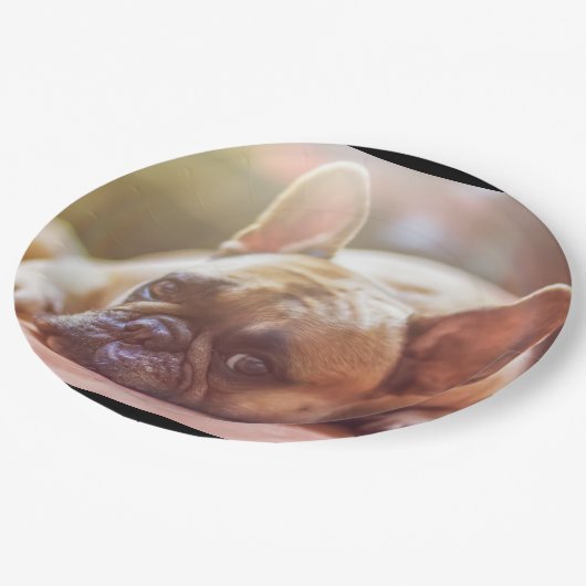 franse stierenlegger papieren bordje (Gekanteld)