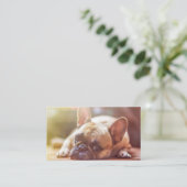 franse stierenlegger visitekaartje (Staand voorkant)