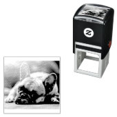 franse stierenlegger zelfinktende stempel (In situ)