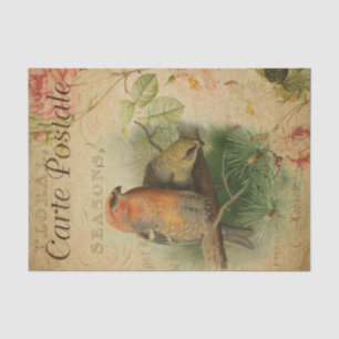 Franse stijl Carte Postale Grosbeaks Tissuepapier