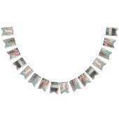 Franse Tapijten Vlaggetjes (Alle)