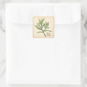Franse Tarragon Herb Stickers (Tas)