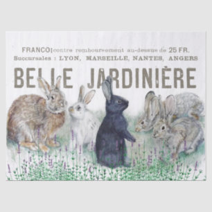 Franse tuin  konijnenkonijn Decoupage Bloom Tissuepapier