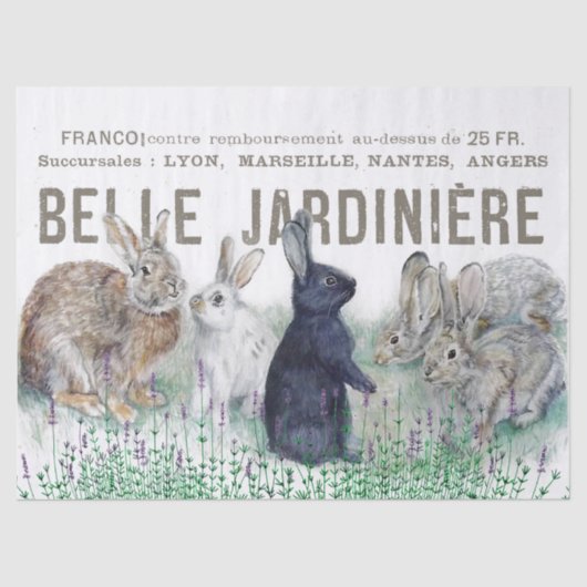 Franse tuin  konijnenkonijn Decoupage Bloom Tissuepapier (Voorkant)