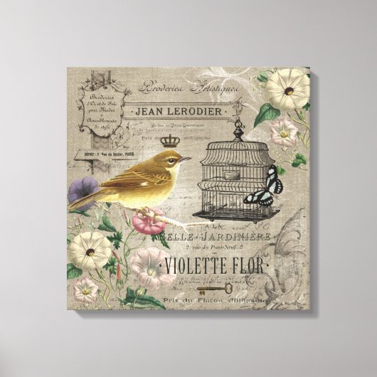  Franse tuinvogel uitgerekt canvas (Voorkant)