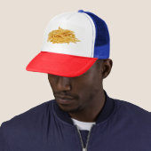 Franse veerboten trucker pet (In situ)
