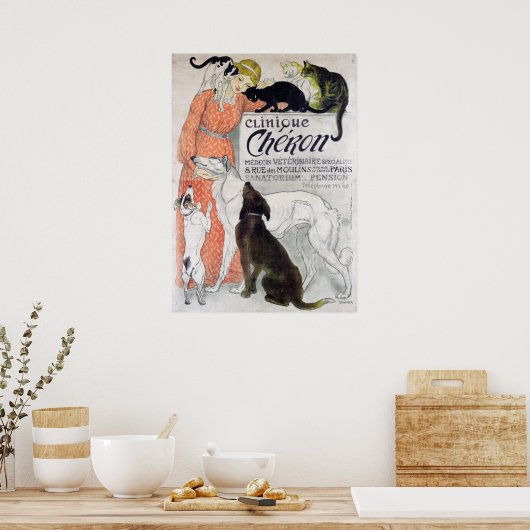  franse veterinaire kliniek poster (Keuken)