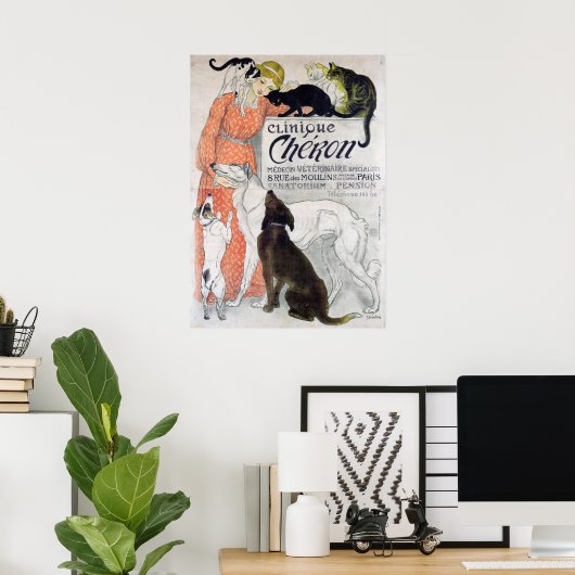  franse veterinaire kliniek poster (Thuiskantoor)