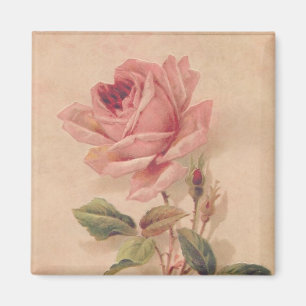 Franse Victoriaans Roze Roze Magneet