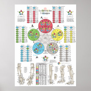 Franse Vijf Elementen Acupunctuur Poster