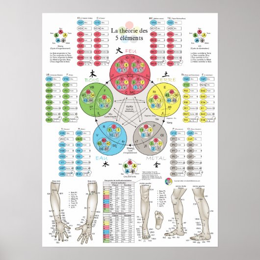 Franse Vijf Elementen Acupunctuur Poster (Voorkant)