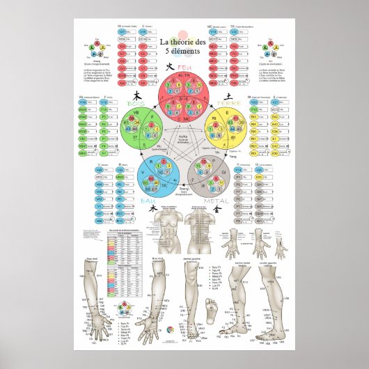 Franse Vijf Elementen Acupunctuur Poster (Voorkant)