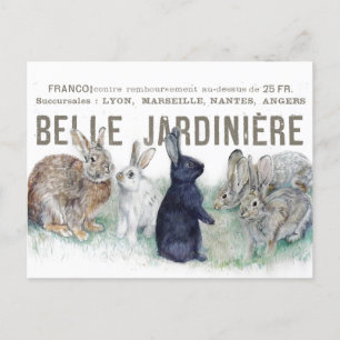 Franse Vintage Bunny Rabbit Paaslente Briefkaart