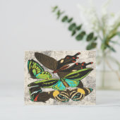 Franse Vintage Vlinder Botanische Kunst Briefkaart (Staand voorkant)