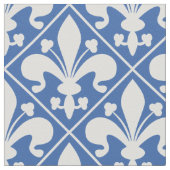 Franse vlag: blauw en wit stof (Close Up)