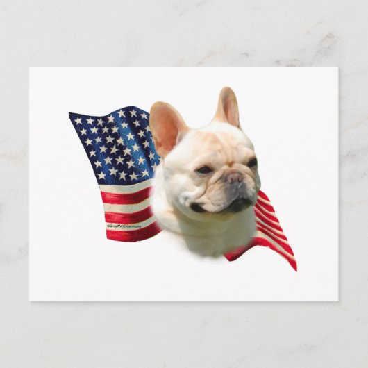 Franse vlag Bulldog Briefkaart (Voorkant)
