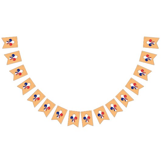 Franse vlag & Fleur De Lys Party Frankrijk / Banne Vlaggetjes (Alle)