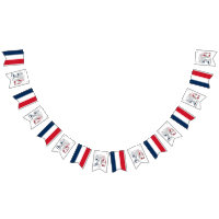 Franse vlag Juli 14 Quatorze Juillet Bastille Day