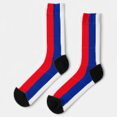 Franse vlag kleuren gestreept sokken (Links)