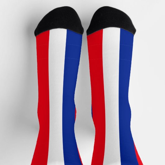 Franse vlag kleuren gestreept sokken (Top)