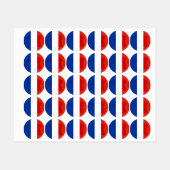 Franse vlag labels (Vel)