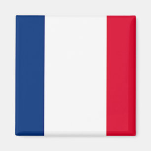 Franse vlag magneet