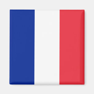 Franse vlag magneet