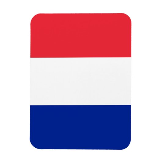 Franse vlag magneet (Verticaal)