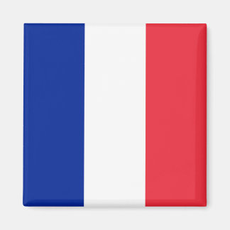 Franse vlag magneet