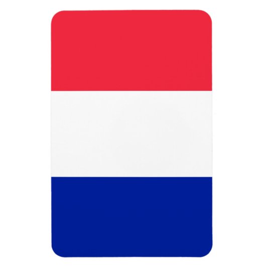 Franse vlag magneet (Verticaal)