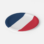 Franse vlag papieren bordje (Gekanteld)